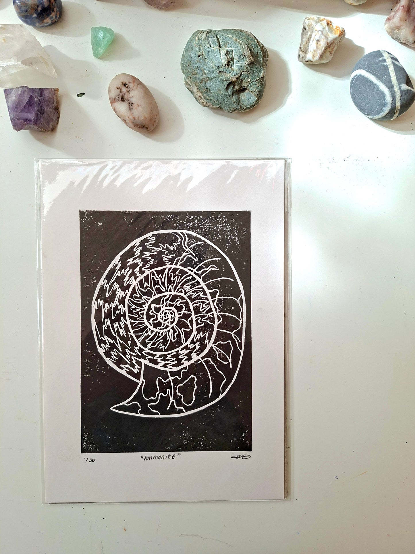 Ammonite - Linocut Print