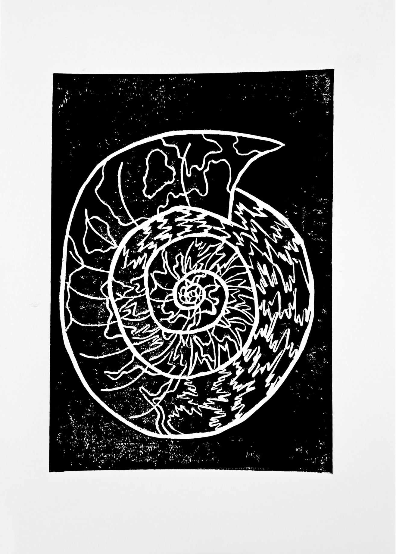 Ammonite - Linocut Print
