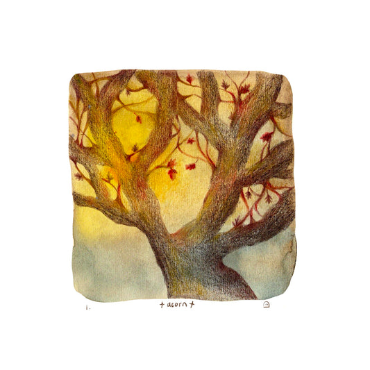 Acorn - Peachtober 2025 Print