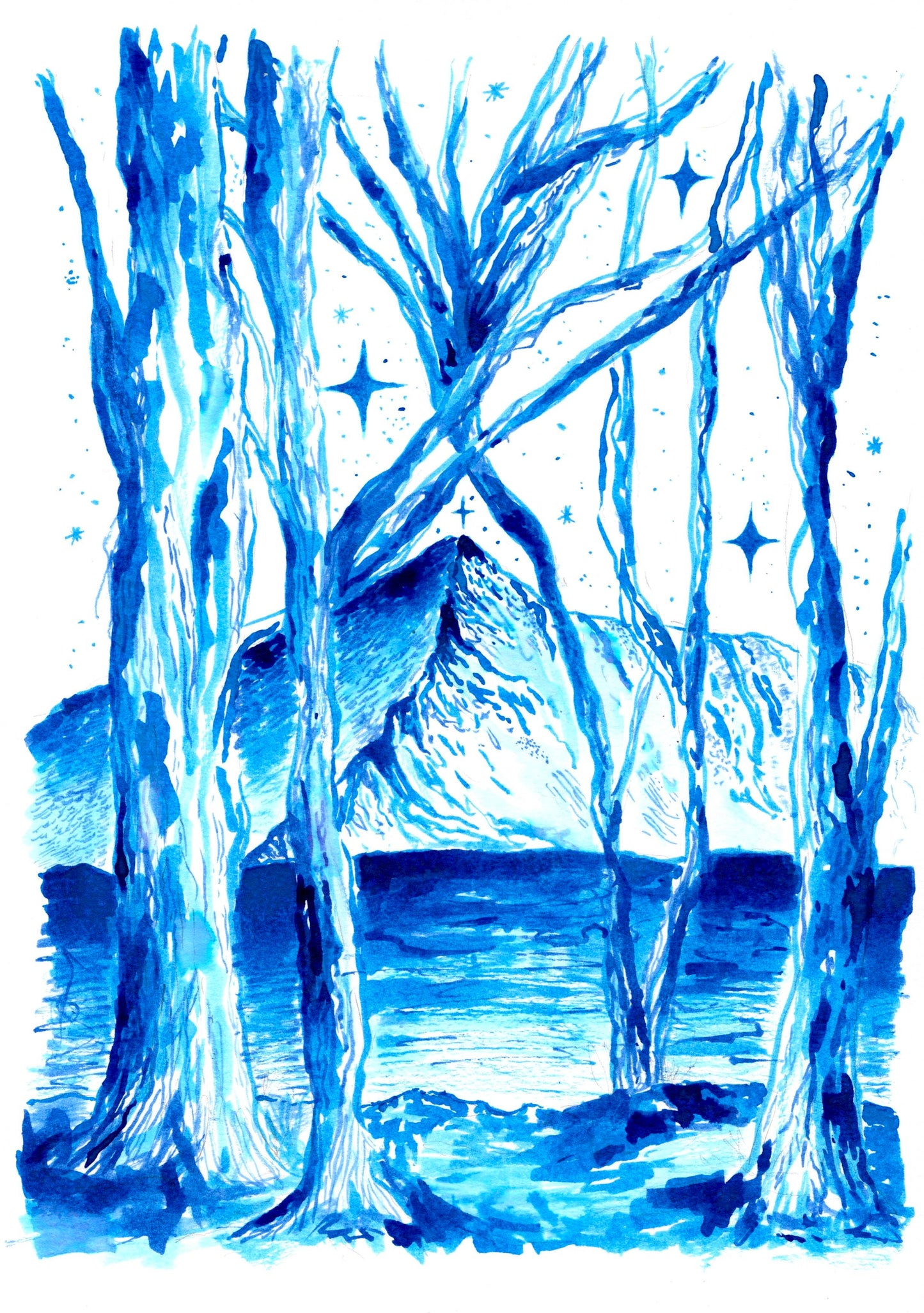 Goyt Valley Woodlands Print